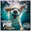 Kalendarz ścienny wieloplanszowy 33x33 cm PODWODNE PSIE PRZYGODY 2025 - okładka